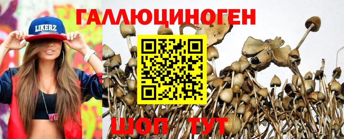 Псилоцибиновые грибы прущие грибы Звенигород